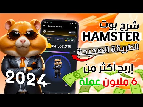 الطريقة الصحيحة للعمل على بوت الهامستر🔥 | شرح البوت من الصفر ✅ | احصل يوميا على 6 مليون عملة مجانا 😱