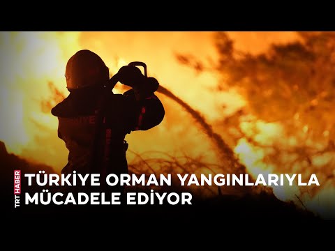 Türkiye orman yangınlarıyla mücadele ediyor